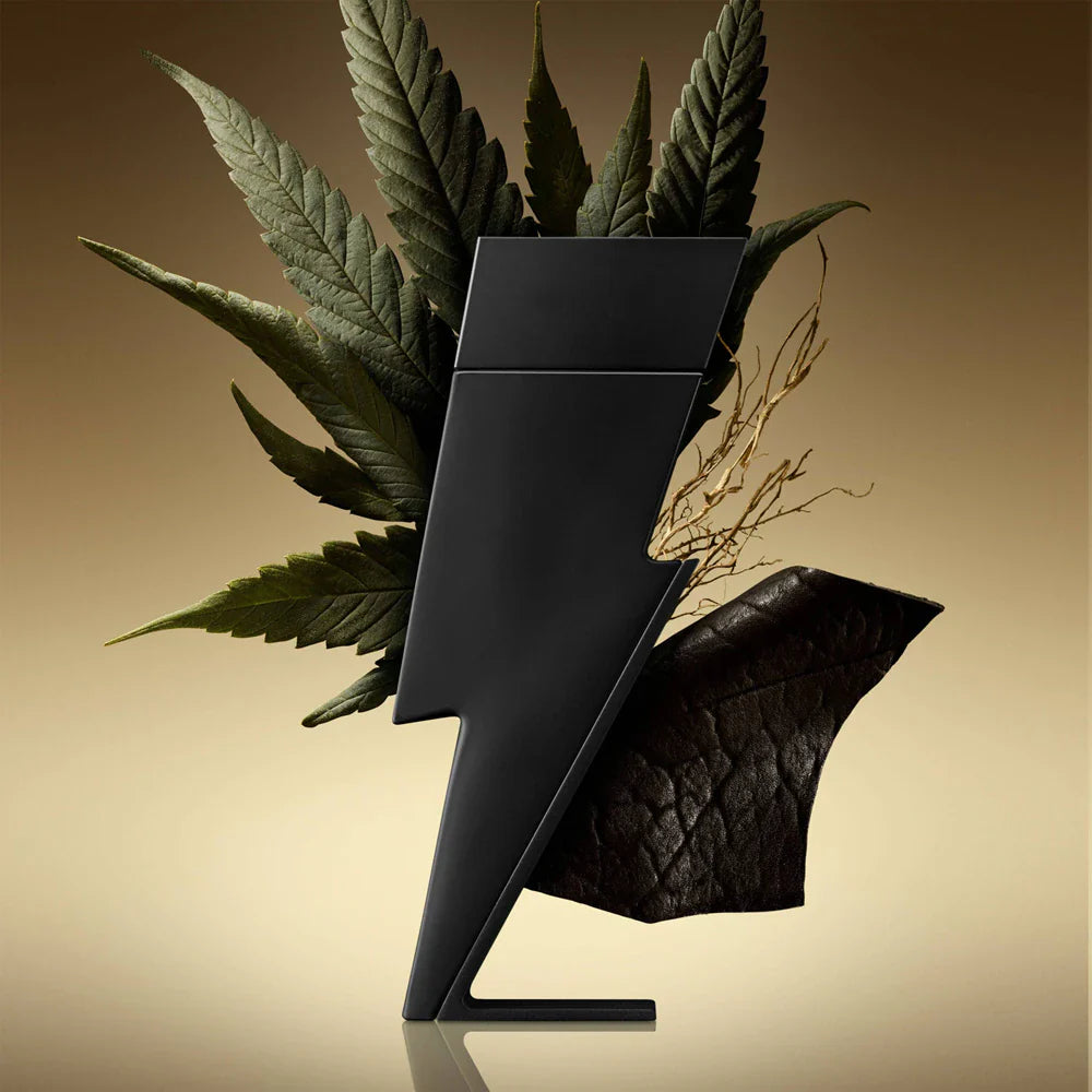 Bad Boy Le Parfum - EDP - 100ml