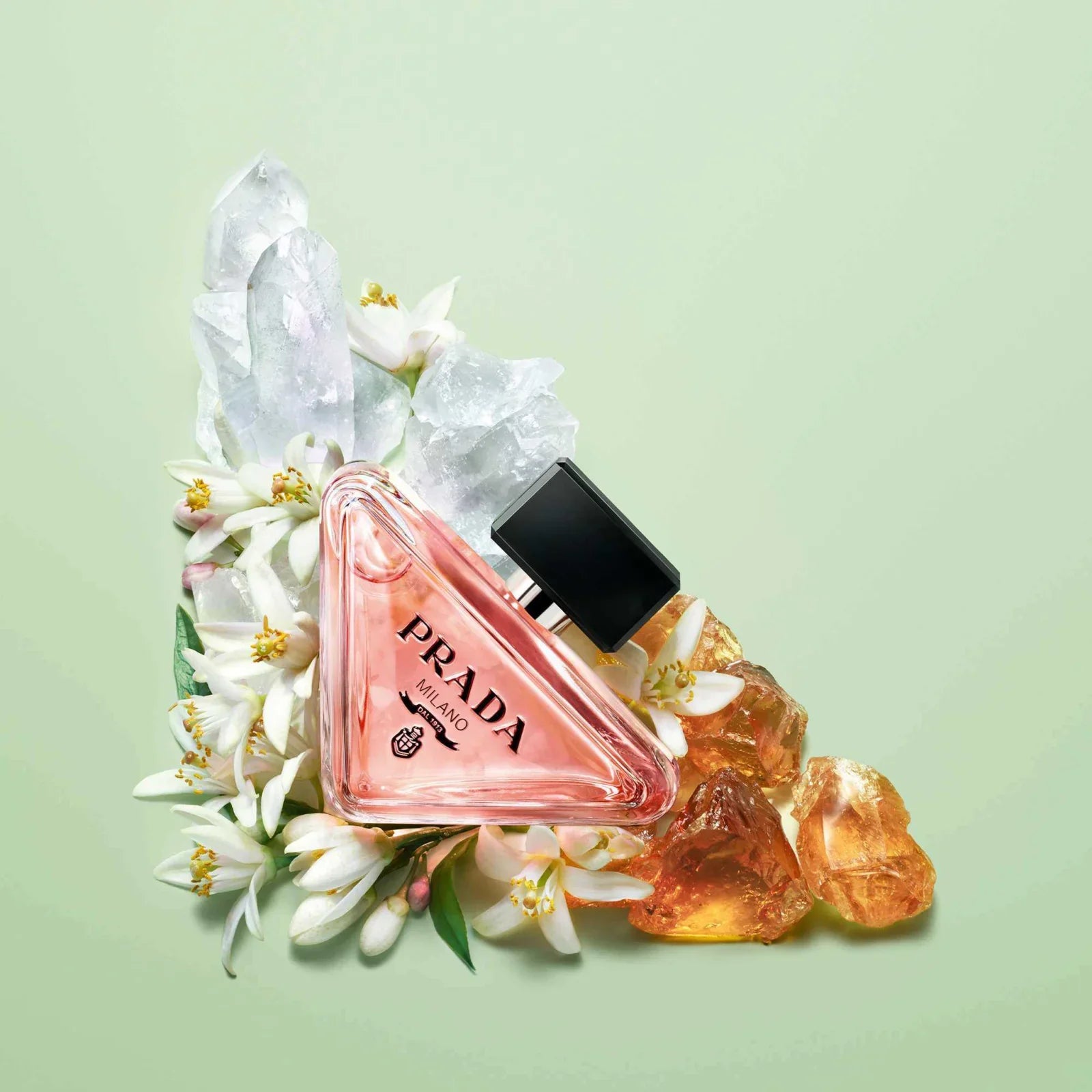 Paradoxe - EDP - 100ml .