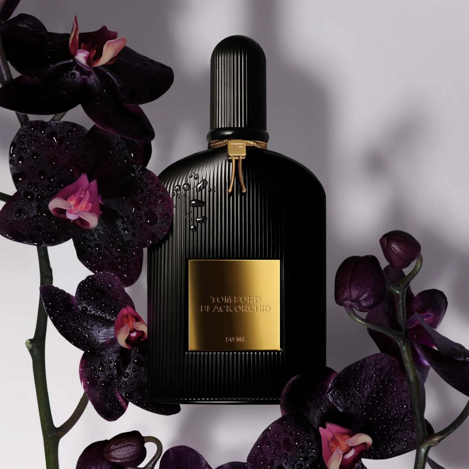 Black Orchid - EDP - 100ml