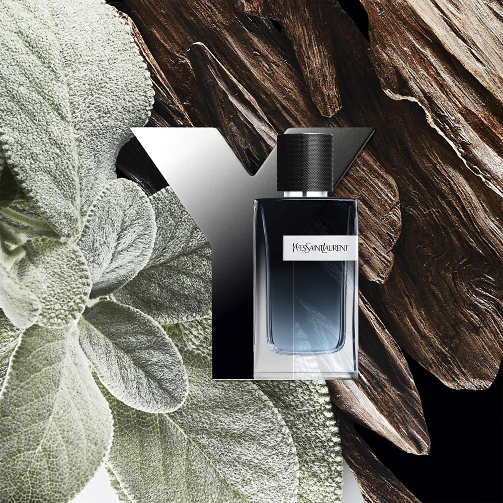 Y Men - EDP - 100ml